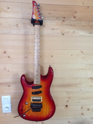 lag-custom-shop-the-beast-lh-796239.jpg