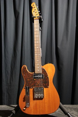 tokai tele.jpg