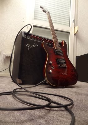 Washburn-Fender.JPG