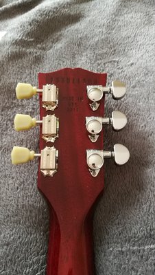 IMG_20170520_142555.jpg