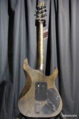 SCHECTER C1 FR S  2.jpg