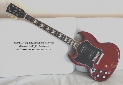 10-SG P90.jpg